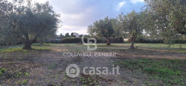 Terreno edificabile in residenziale in Strada Senza Nome
