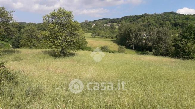 Terreno agricolo in commerciale in Via Taverna Nova