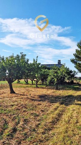 Terreno agricolo in commerciale in 