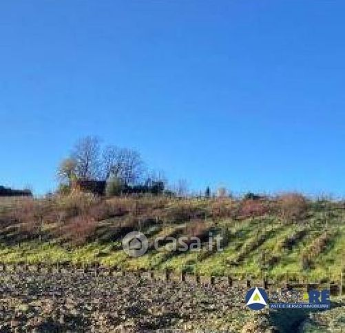 Terreno agricolo in commerciale in Via Montorzo