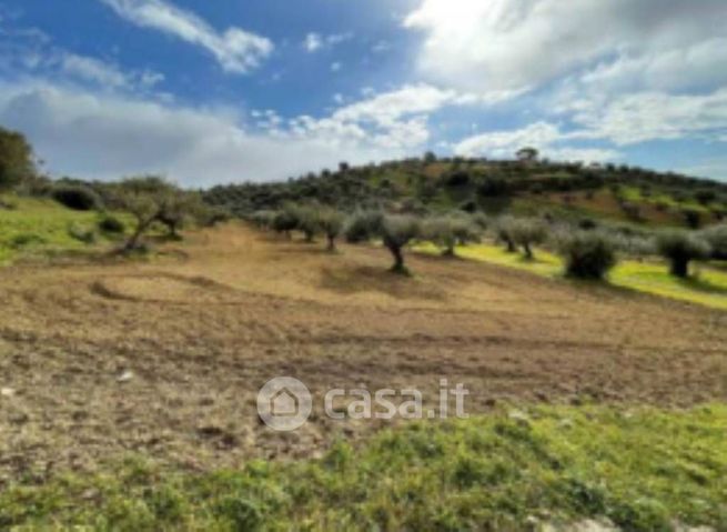 Terreno edificabile in residenziale in Strada Provinciale 31