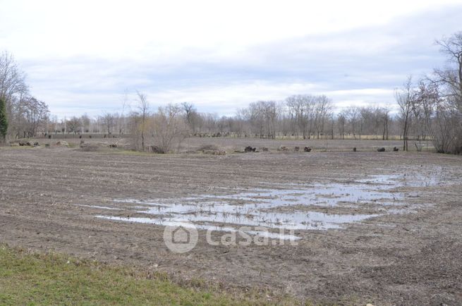 Terreno agricolo in commerciale in 