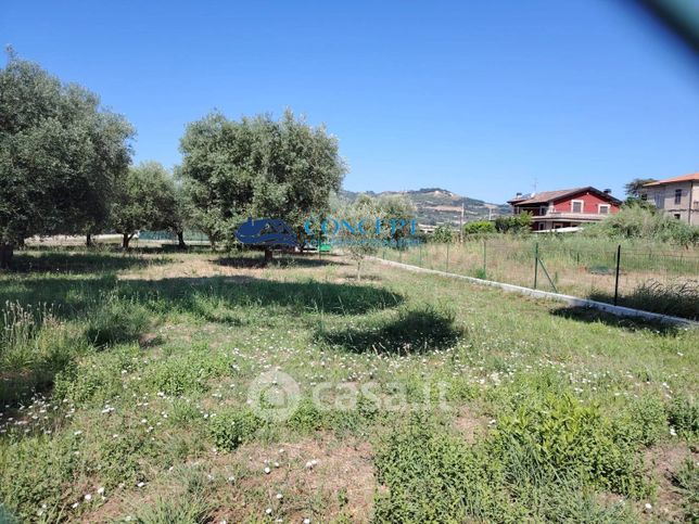 Terreno agricolo in commerciale in Via delle Messi