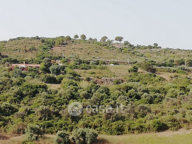 Terreno agricolo in commerciale in Località Li Russi