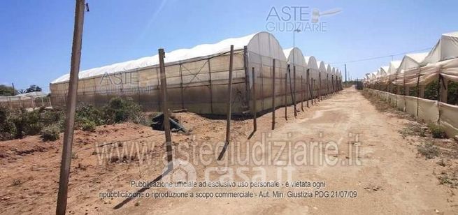 Terreno agricolo in commerciale in Contrada Anguilla