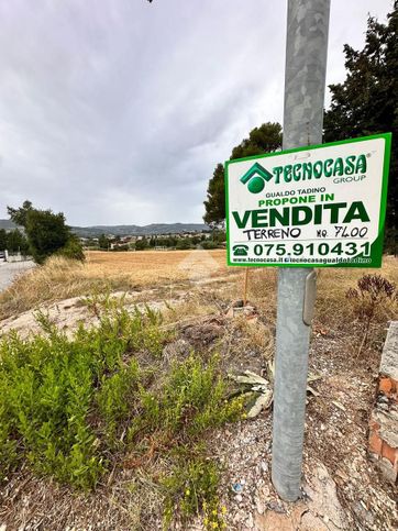 Terreno agricolo in commerciale in Via Flaminia Sud