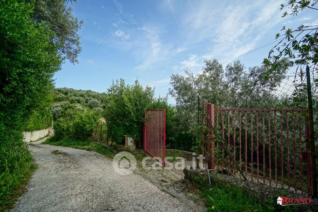 Terreno agricolo in commerciale in Via Santa Croce