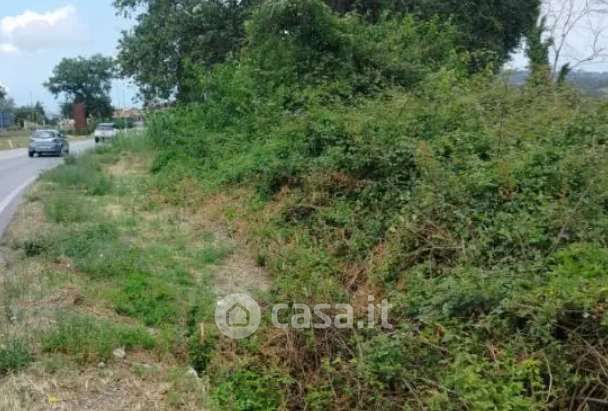 Terreno agricolo in commerciale in Viale Nazario Sauro