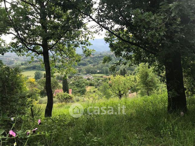 Terreno agricolo in commerciale in Via degli Aceri
