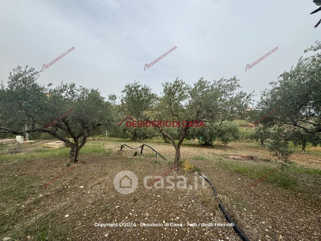 Terreno agricolo in commerciale in Via Pietro Nenni 148