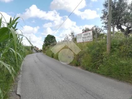 Terreno agricolo in commerciale in Via Tor Paluzzi