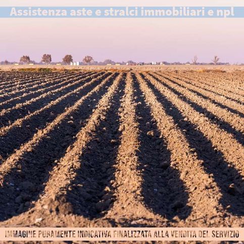 Terreno agricolo in commerciale in SP13