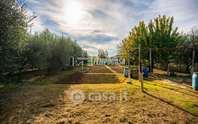 Terreno agricolo in commerciale in Via Giuseppe Sacconi 199