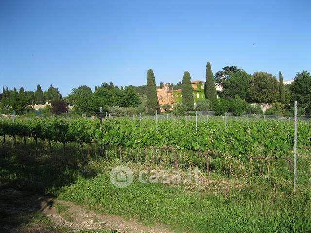 Terreno agricolo in commerciale in Via Anagnina