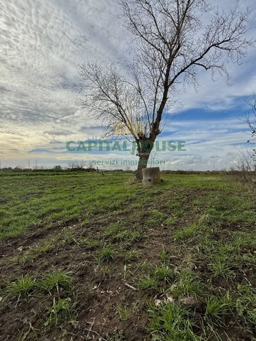 Terreno agricolo in commerciale in Via Ponte dei Cani