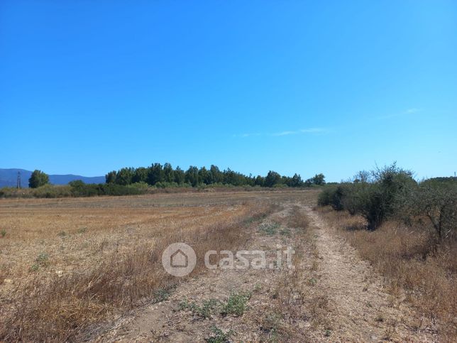 Terreno agricolo in commerciale in Località Tuerra Manna