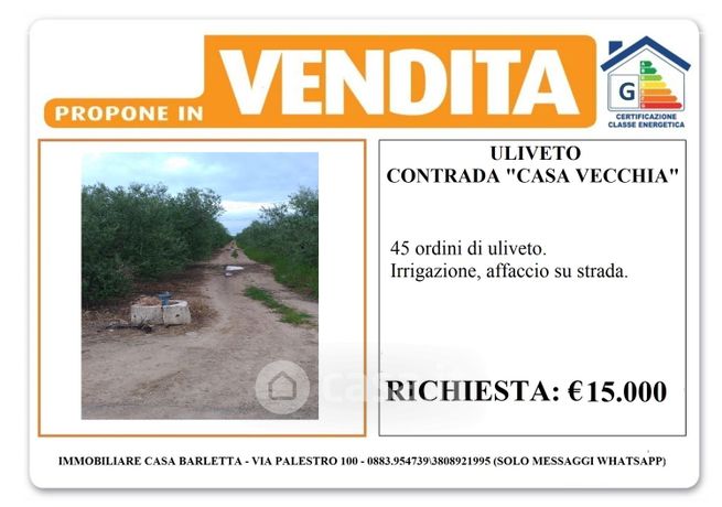 Terreno agricolo in commerciale in Contrada casa vecchia