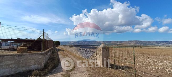 Terreno agricolo in commerciale in Strada Provinciale 58