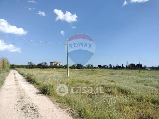 Terreno agricolo in commerciale in Via Elorina 174