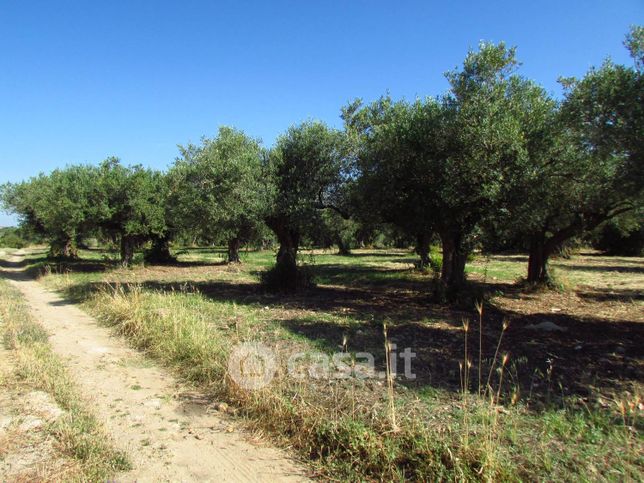 Terreno agricolo in commerciale in