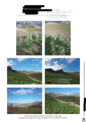 Terreno agricolo in commerciale in Strada Statale 285