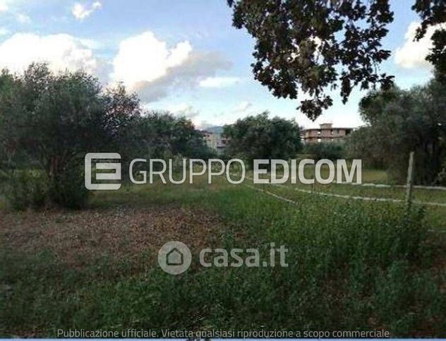 Terreno agricolo in commerciale in Contrada Grappidaro