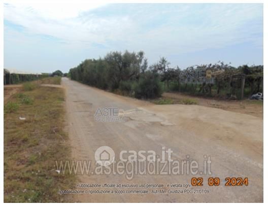 Terreno agricolo in commerciale in Strada della Cooperativa