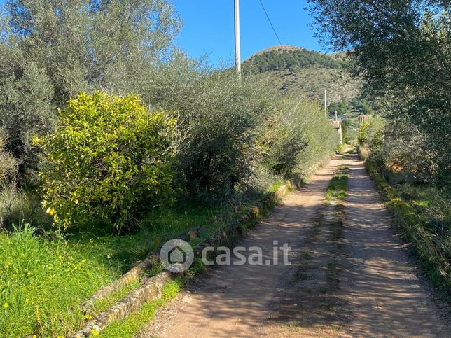 Terreno agricolo in commerciale in Strada vicinale parisi