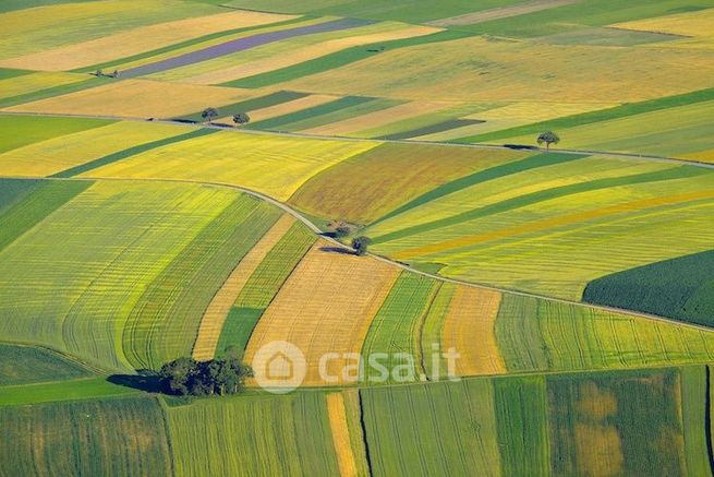 Terreno agricolo in commerciale in 
