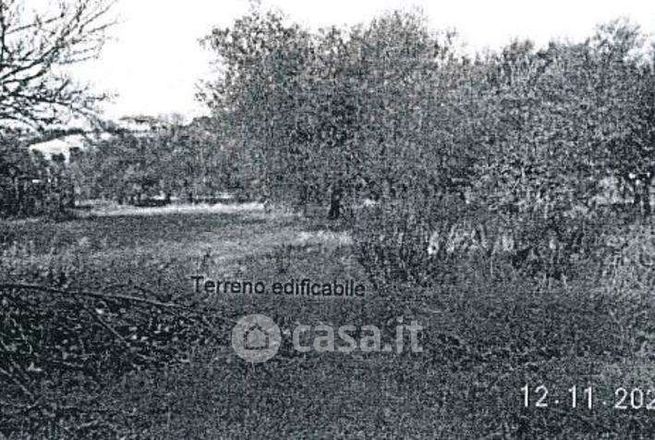 Terreno agricolo in commerciale in Via Fonte Murata