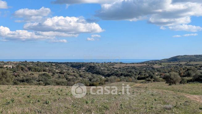 Terreno agricolo in commerciale in Strada Provinciale 73