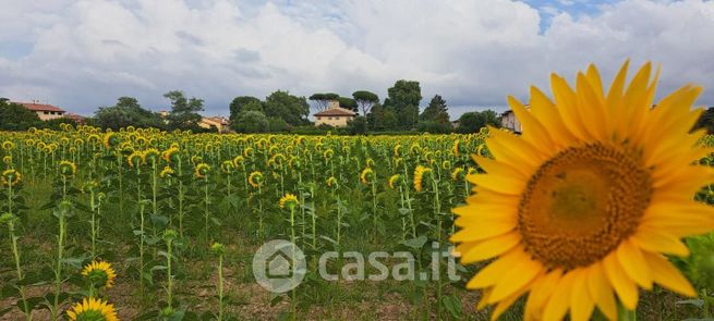 Terreno agricolo in commerciale in Via Augusto Conti