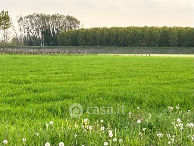 Terreno agricolo in commerciale in Via Roma 1 B