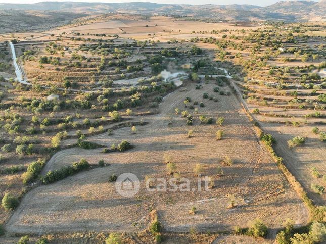 Terreno agricolo in commerciale in 