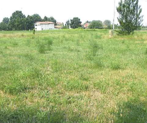 Terreno agricolo in commerciale in Via Statale