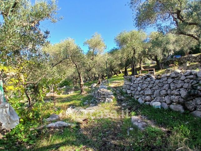 Terreno agricolo in commerciale in Località vastomano