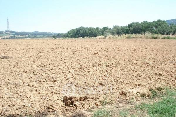 Terreno agricolo in commerciale in 