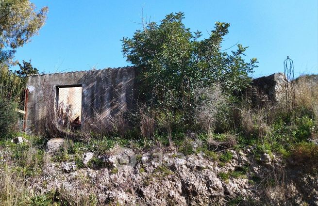 Terreno agricolo in commerciale in Traversa Santuzza