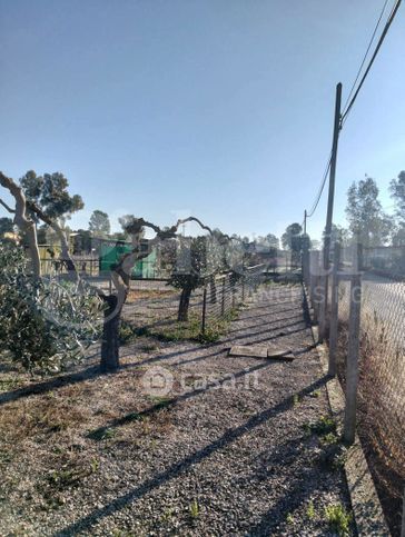 Terreno agricolo in commerciale in Via Torre del Padiglione