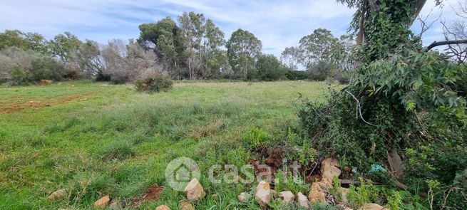 Terreno agricolo in commerciale in 