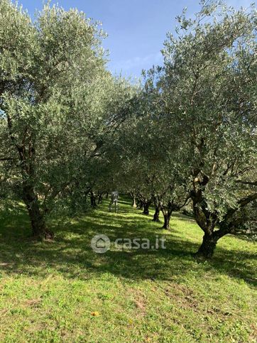Terreno agricolo in commerciale in Via Busabionda