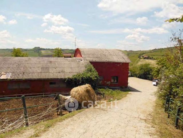 Terreno agricolo in commerciale in Via Pediano
