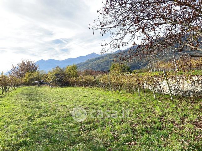 Terreno agricolo in commerciale in Strada de Castegnèro