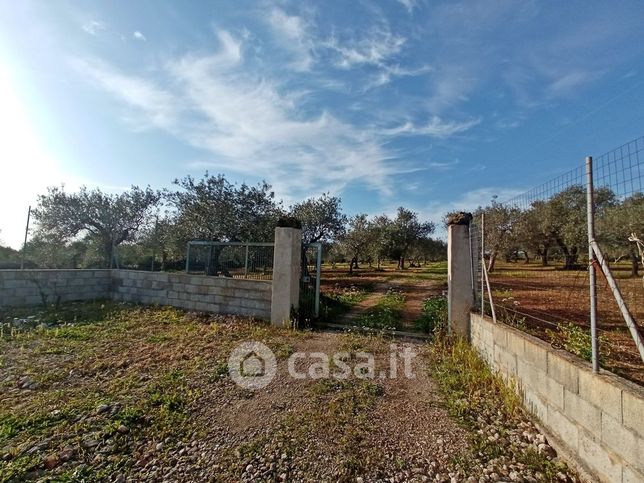 Terreno agricolo in commerciale in Via Argentiera 112