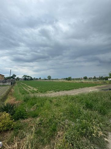 Terreno agricolo in commerciale in Via Domiziana