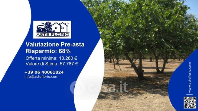 Terreno agricolo in commerciale in Contrada Regina