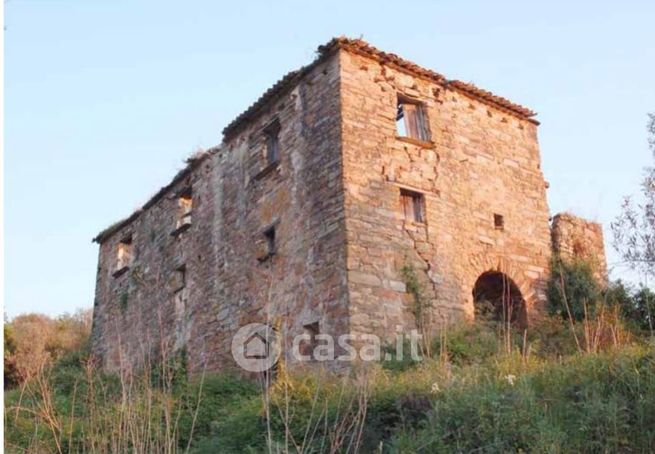 Terreno agricolo in commerciale in Via Carosi