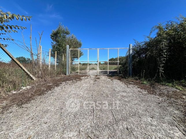 Terreno agricolo in commerciale in Strada Verentana