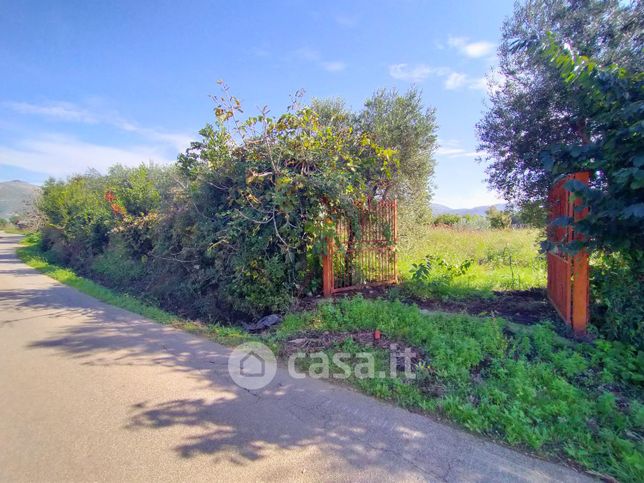 Terreno agricolo in commerciale in Via Sant'Eleuterio