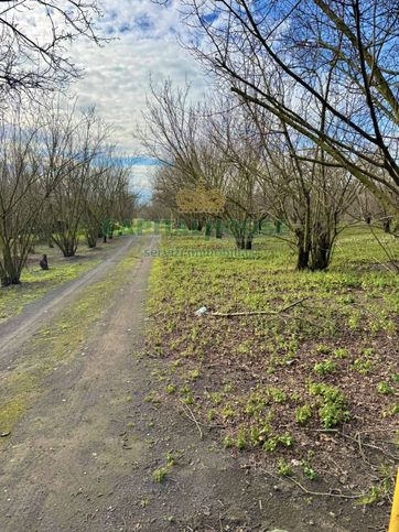 Terreno agricolo in commerciale in 